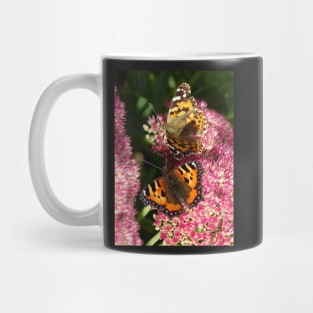 Painted lady and the Tortoiseshell Mug